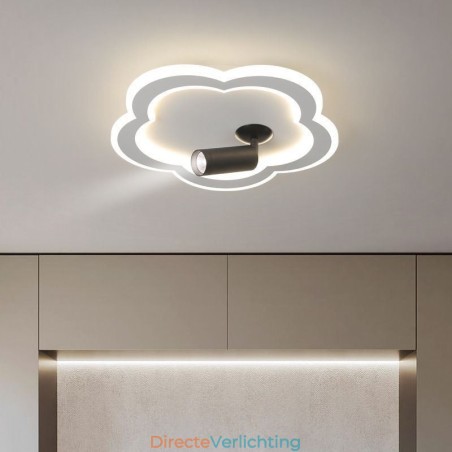 Plafondlamp in de vorm van een bloem van acryl in de vorm van een plafondlamp