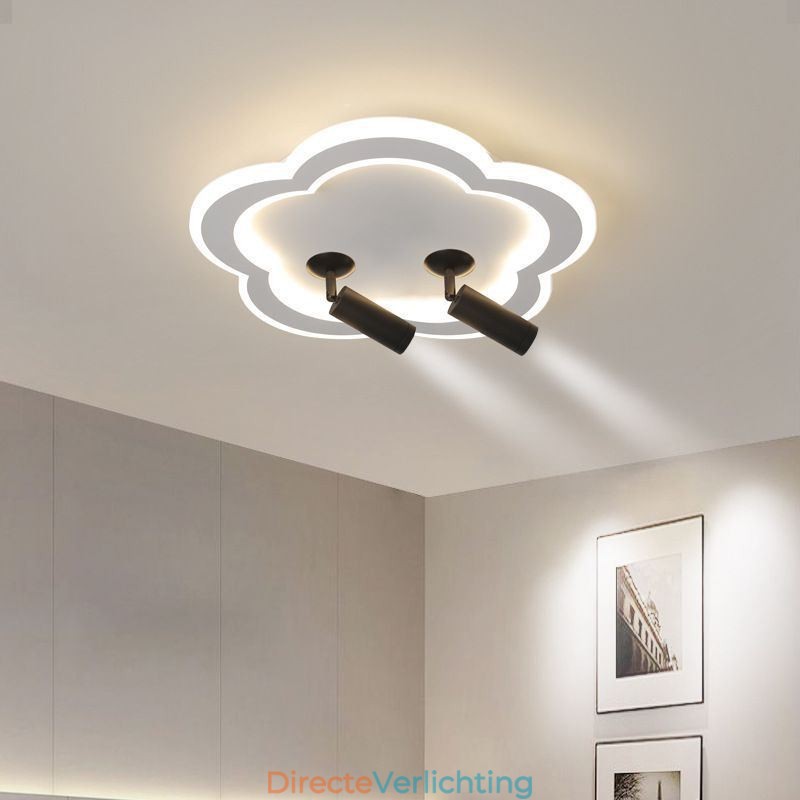 Plafondlamp in de vorm van een bloem van acryl in de vorm van een plafondlamp