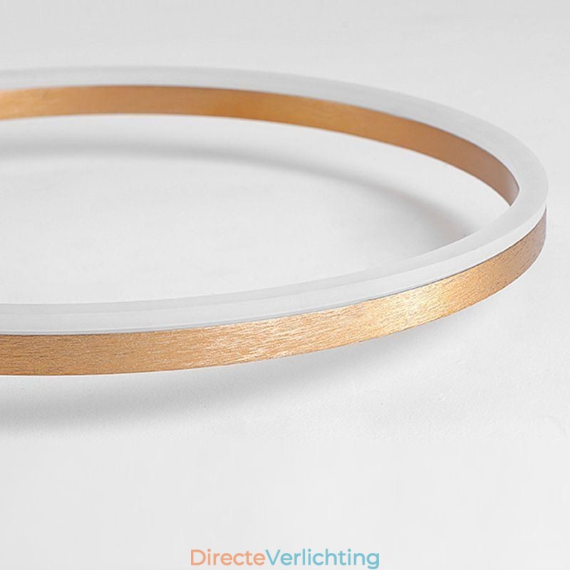 Plafondlamp Geborsteld Goud Halo Ring Verlichting Spotlight