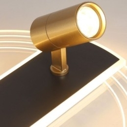 Plafondlamp Unieke Acryl Decor Verlichting Spotlight