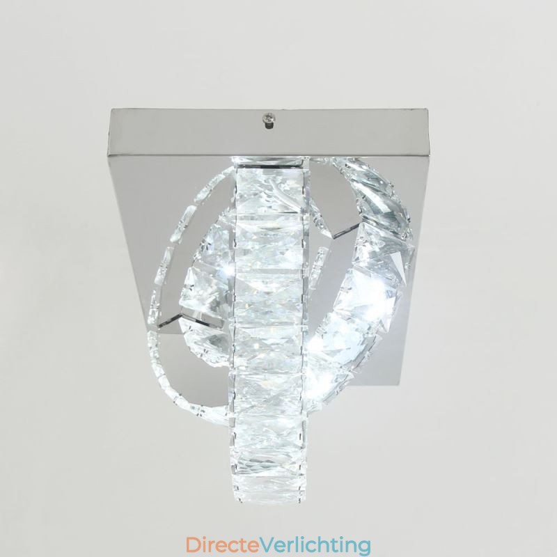 Semi Ring Plafondlamp met Kristallen Montage