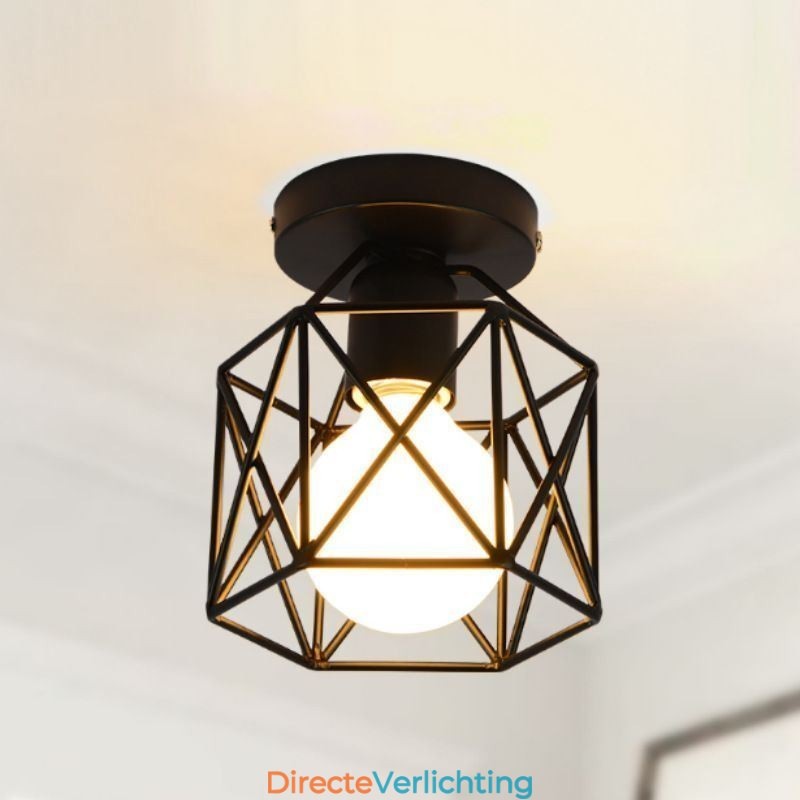 Metalen kooi plafondlamp