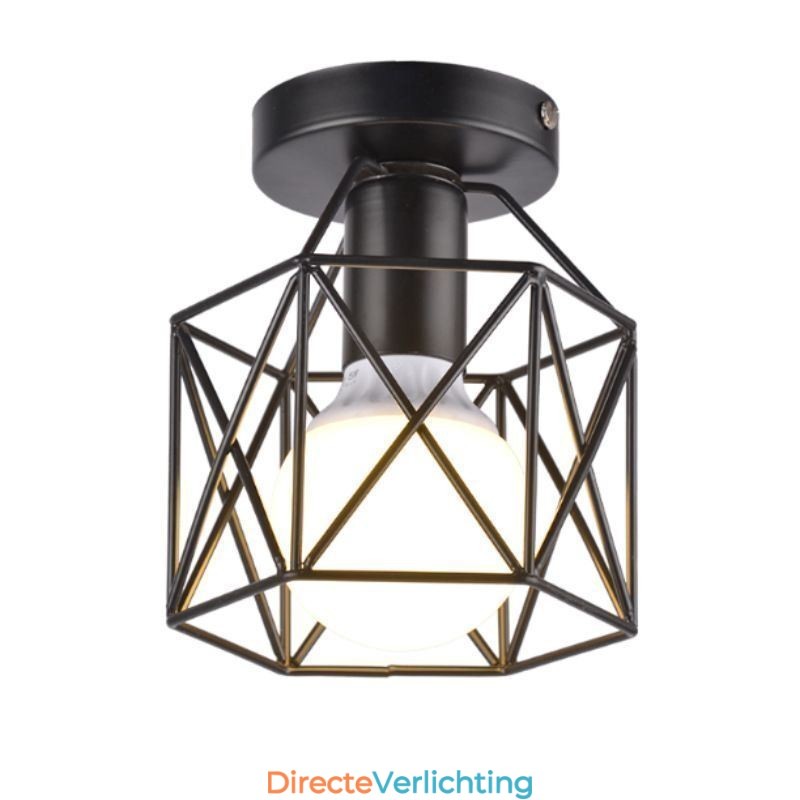 Metalen kooi plafondlamp