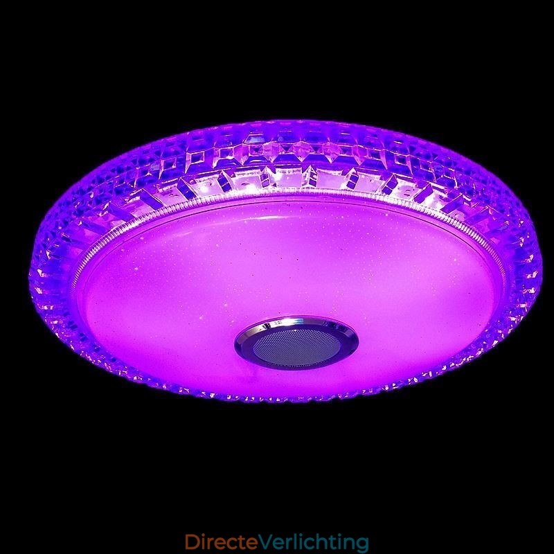 Plafondlamp met afstandsbediening via APP, Bluetooth-muziekluidsprekerlamp