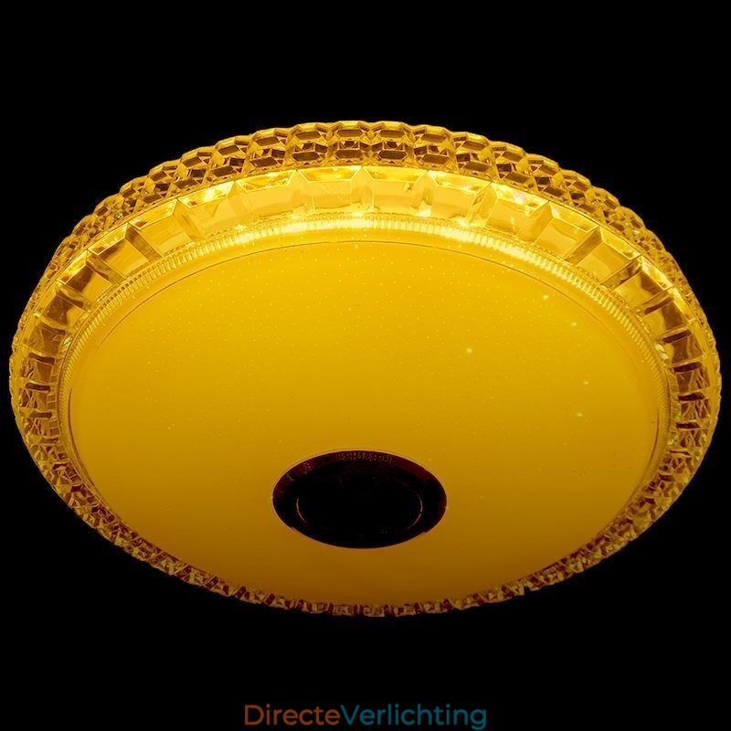 Plafondlamp met afstandsbediening via APP, Bluetooth-muziekluidsprekerlamp
