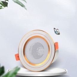 Downlight Bluetooth Muziek Luidspreker Lamp Mobiele Telefoon Slimme Plafondlamp
