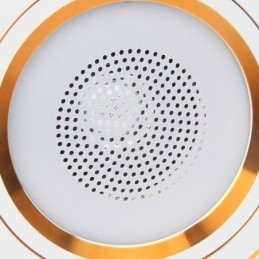 Downlight Bluetooth Muziek Luidspreker Lamp Mobiele Telefoon Slimme Plafondlamp