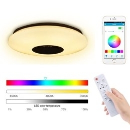 Kleurrijke plafondlamp met Bluetooth-muziekluidspreker en timingfunctie