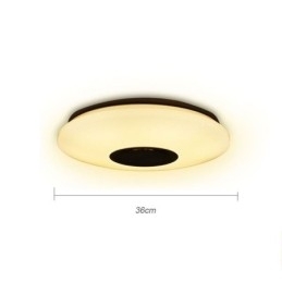 Kleurrijke plafondlamp met Bluetooth-muziekluidspreker en timingfunctie