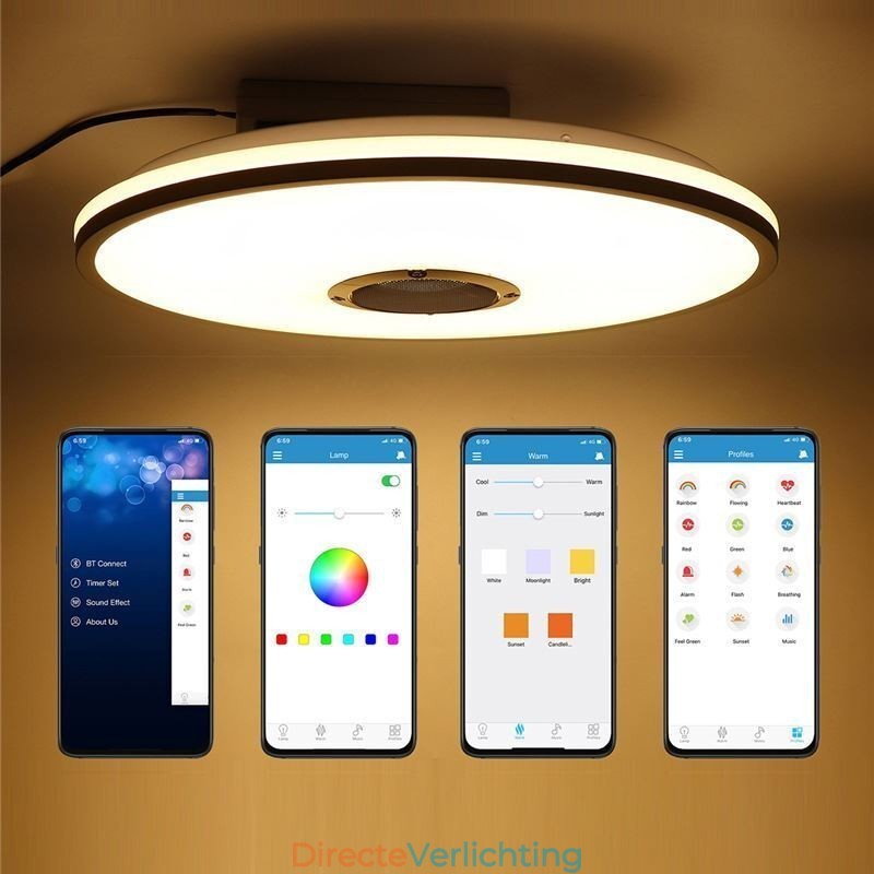 Kleurrijke plafondlamp met Bluetooth-muziekluidspreker en timingfunctie