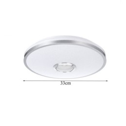 Kleurrijke plafondlamp met Bluetooth-muziekluidspreker en timingfunctie
