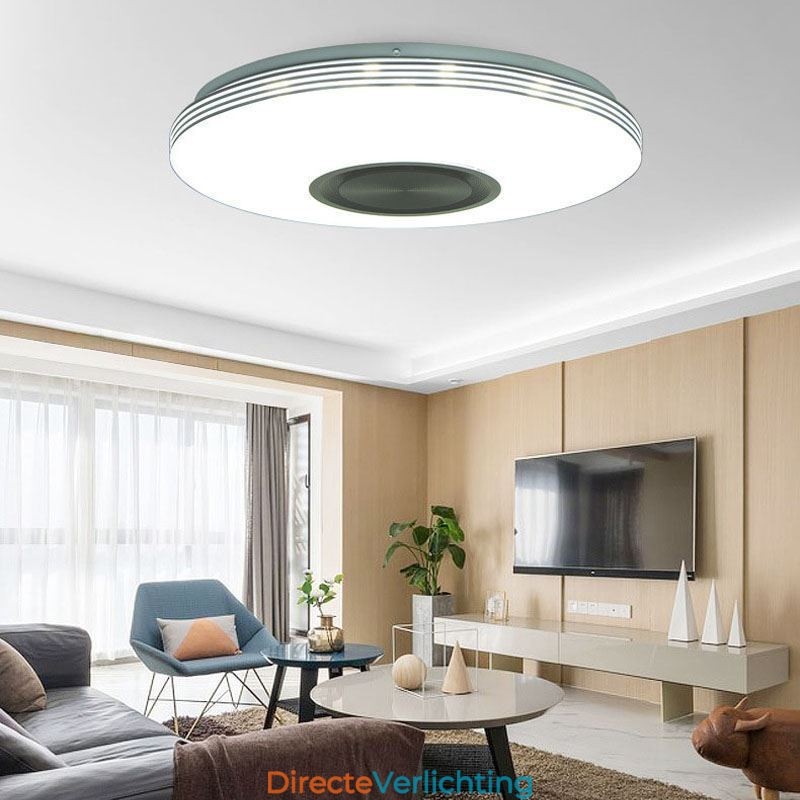 Plafondlamp met decoratieve montage, afstandsbediening via APP, Bluetooth-muziekluidsprekerlamp