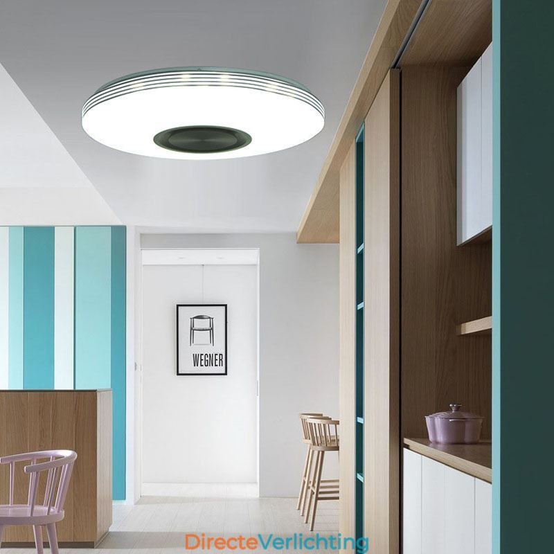 Plafondlamp met decoratieve montage, afstandsbediening via APP, Bluetooth-muziekluidsprekerlamp
