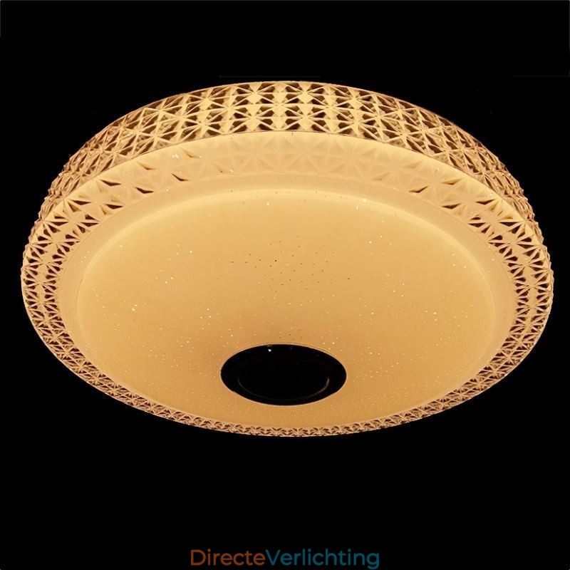 Plafondlamp Decoratieve lamp Afstandsbediening APP-bediening Bluetooth Muziek Luidspreker Inbouw