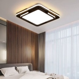 Moderne eenvoudige plafondlamp met vierkante acryllamp