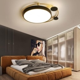 Moderne plafondlamp met cirkelvormige plafondlamp van acryl