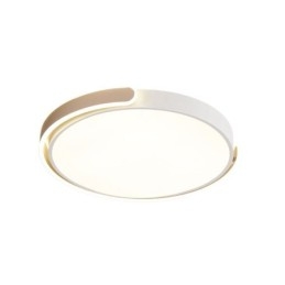 Ronde plafondlamp van acryl
