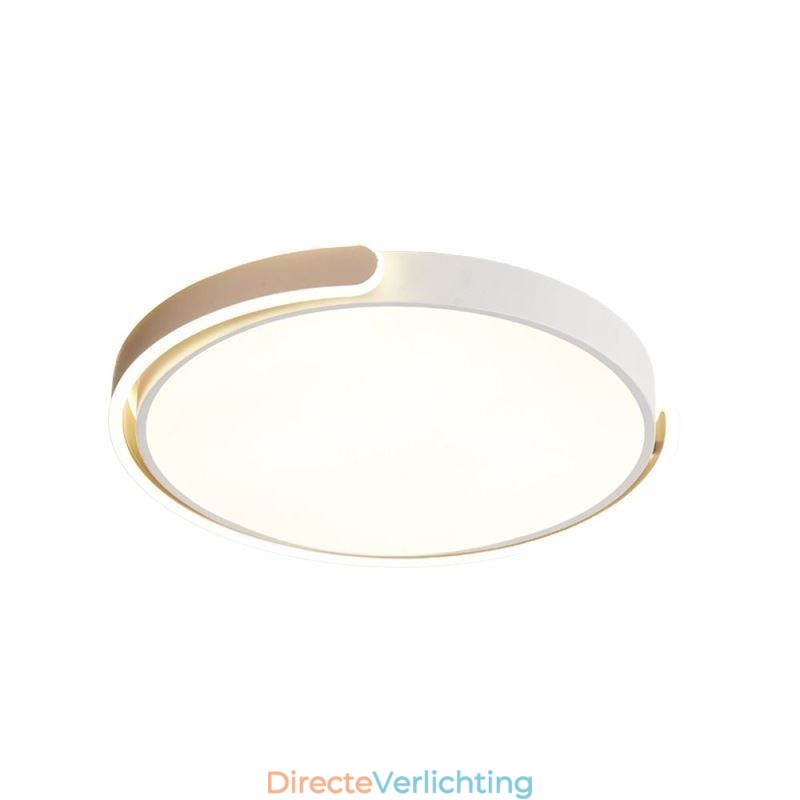 Ronde plafondlamp van acryl