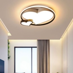 Dubbele Harten Plafondlamp Decoratieve Verlichting