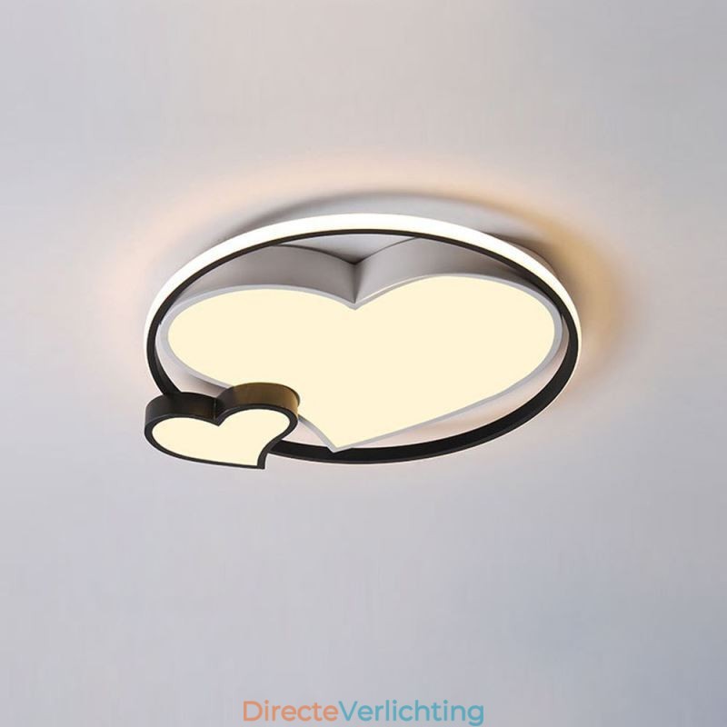 Dubbele Harten Plafondlamp Decoratieve Verlichting