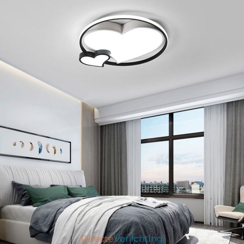 Dubbele Harten Plafondlamp Decoratieve Verlichting