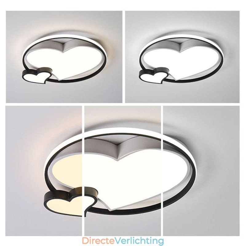 Dubbele Harten Plafondlamp Decoratieve Verlichting