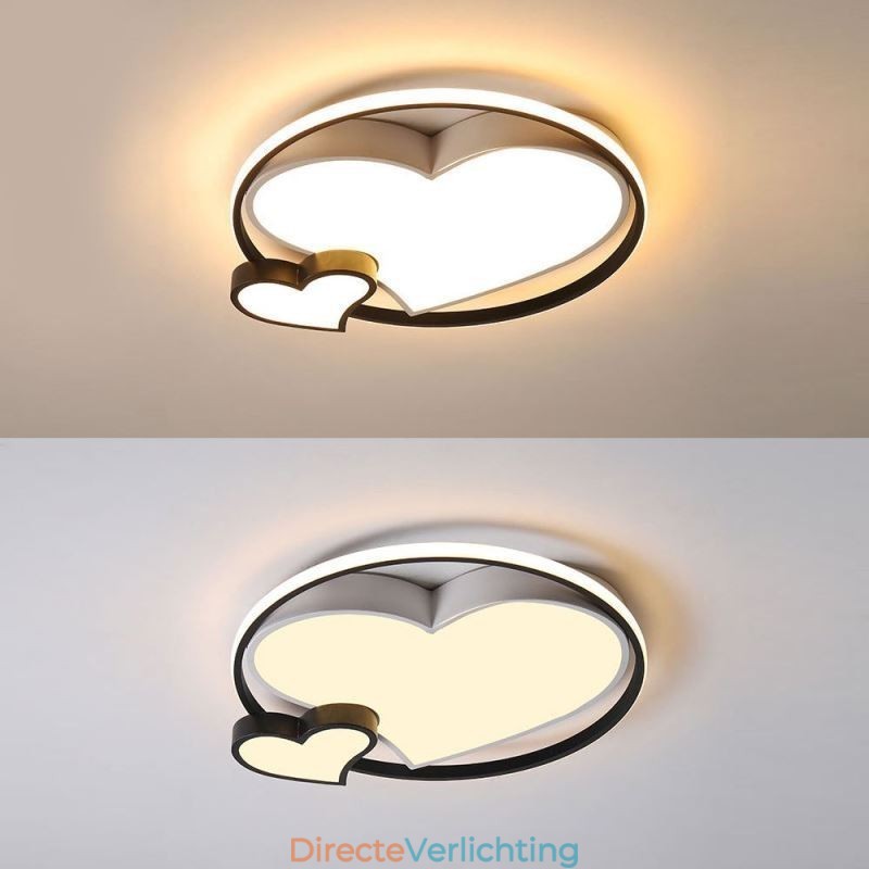 Dubbele Harten Plafondlamp Decoratieve Verlichting