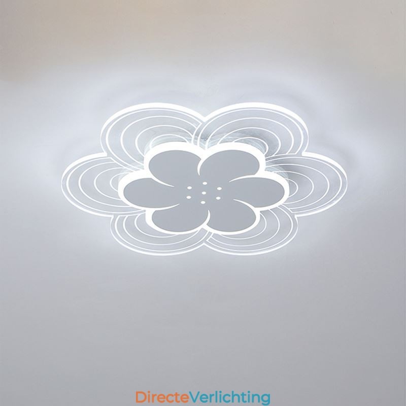Prachtige Petal Flush Mount Plafondlamp Minimalistische Acryllamp