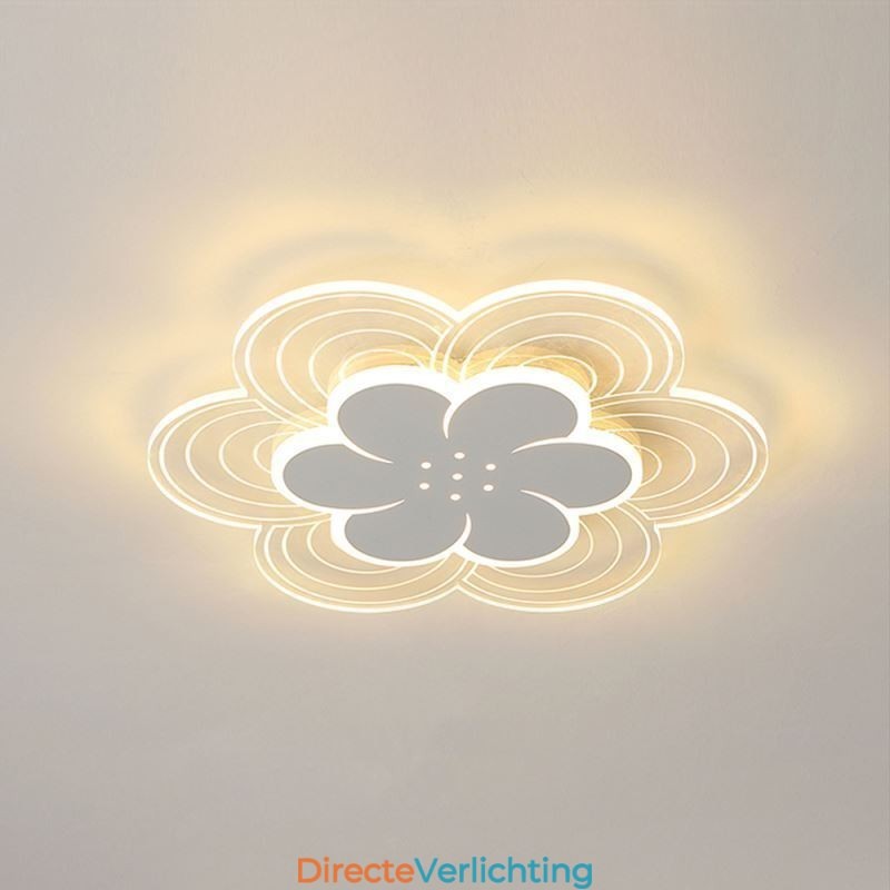 Prachtige Petal Flush Mount Plafondlamp Minimalistische Acryllamp