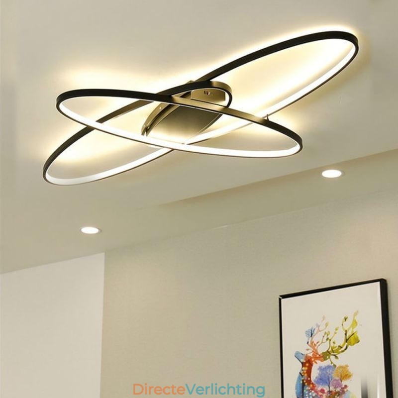 Moderne ovale plafondlamp met plafondbevestiging, decoratieve verlichtingsarmatuur van acryl