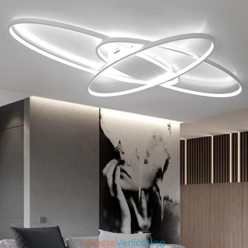 Moderne ovale plafondlamp met plafondbevestiging, decoratieve verlichtingsarmatuur van acryl