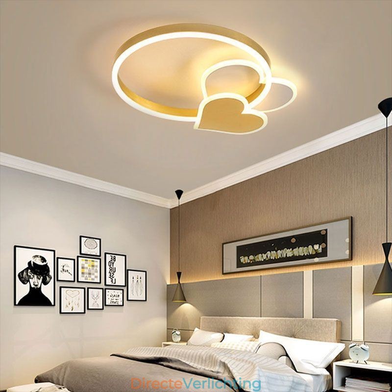 Moderne plafondlamp van acryl in de vorm van een dubbel hart