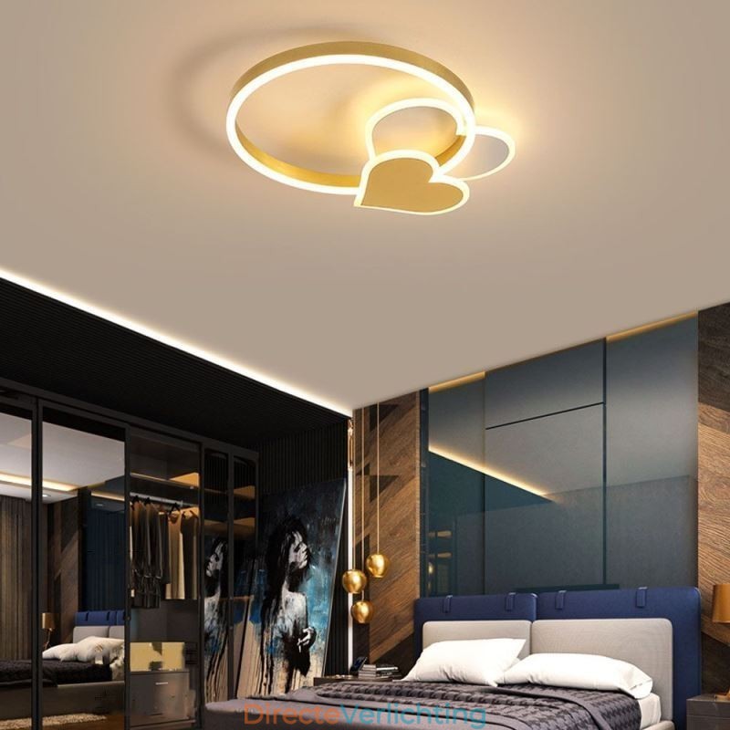 Moderne plafondlamp van acryl in de vorm van een dubbel hart