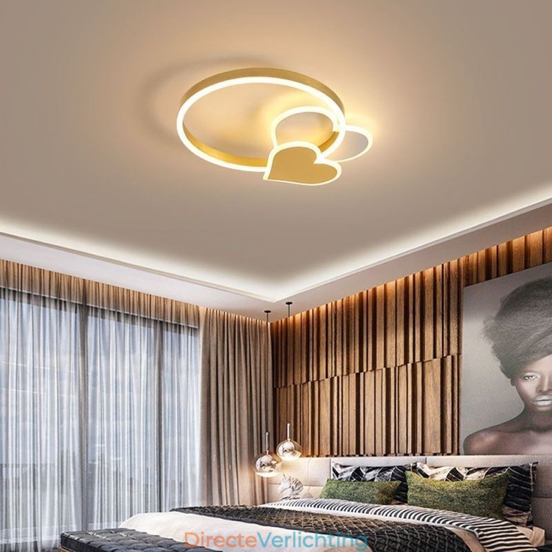 Moderne plafondlamp van acryl in de vorm van een dubbel hart