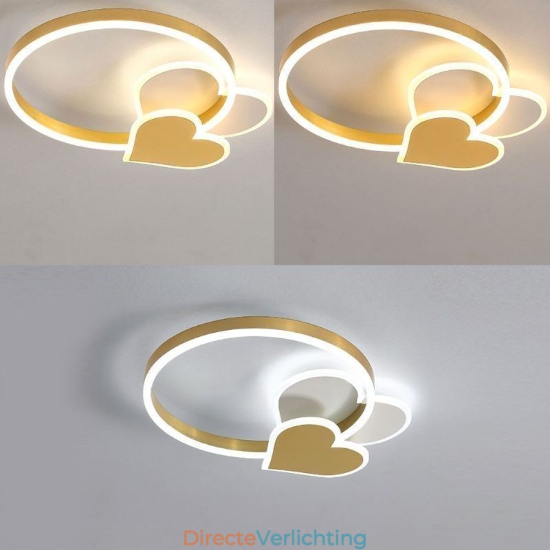 Moderne plafondlamp van acryl in de vorm van een dubbel hart