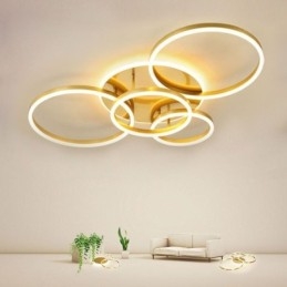 Halo Ring Flush Mount Moderne Acryl Plafondlamp