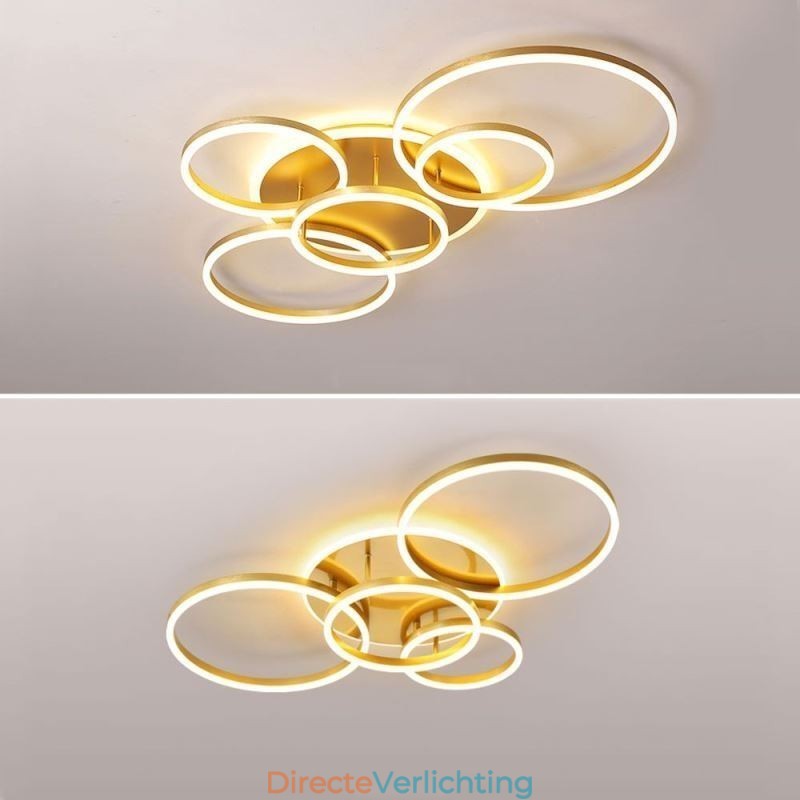 Halo Ring Flush Mount Moderne Acryl Plafondlamp