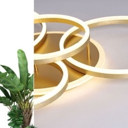 Halo Ring Flush Mount Moderne Acryl Plafondlamp