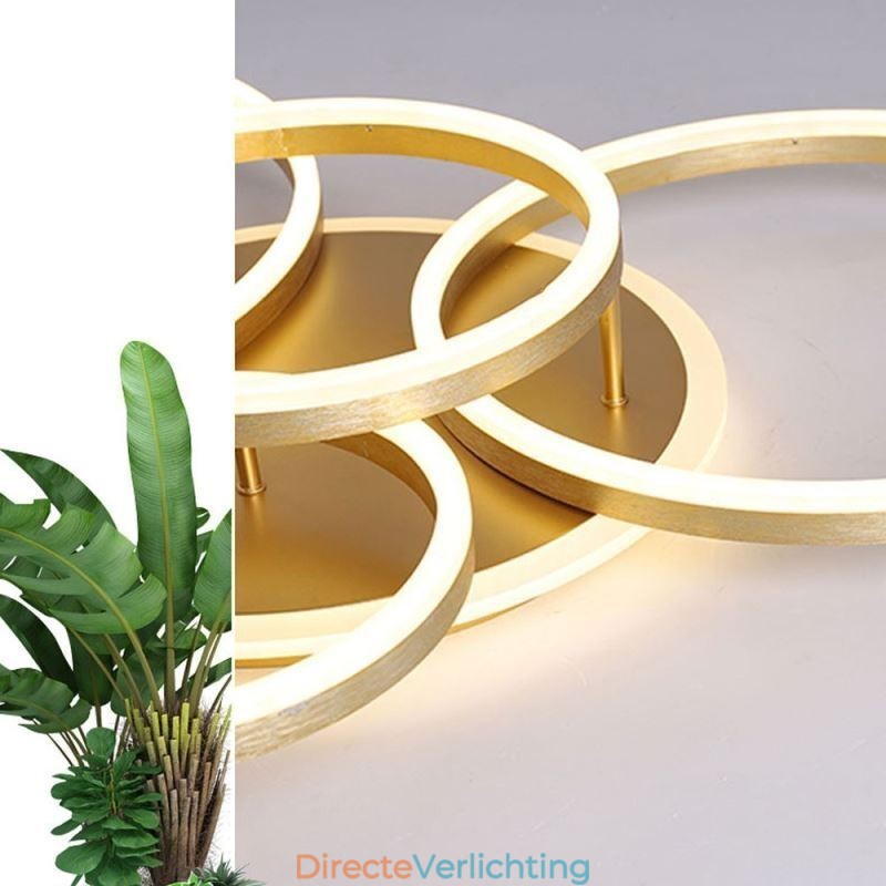 Halo Ring Flush Mount Moderne Acryl Plafondlamp