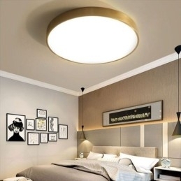 Ronde plafondlamp van modern goudkleurig acryl