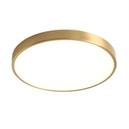Ronde plafondlamp van modern goudkleurig acryl