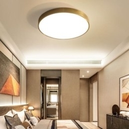 Ronde plafondlamp van modern goudkleurig acryl