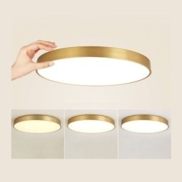 Ronde plafondlamp van modern goudkleurig acryl