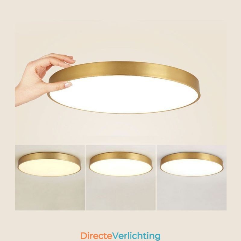 Ronde plafondlamp van modern goudkleurig acryl