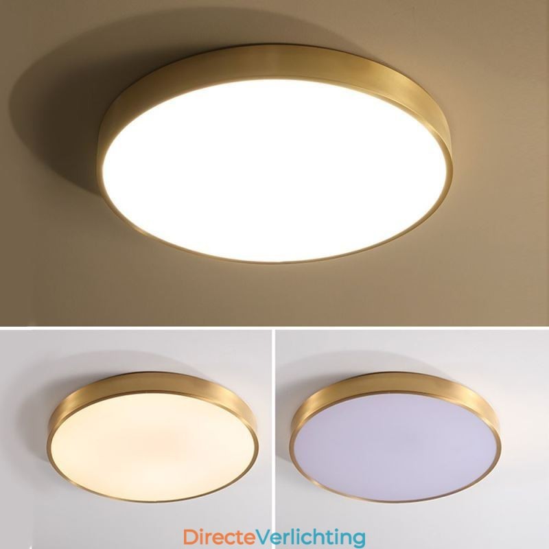 Ronde plafondlamp van modern goudkleurig acryl