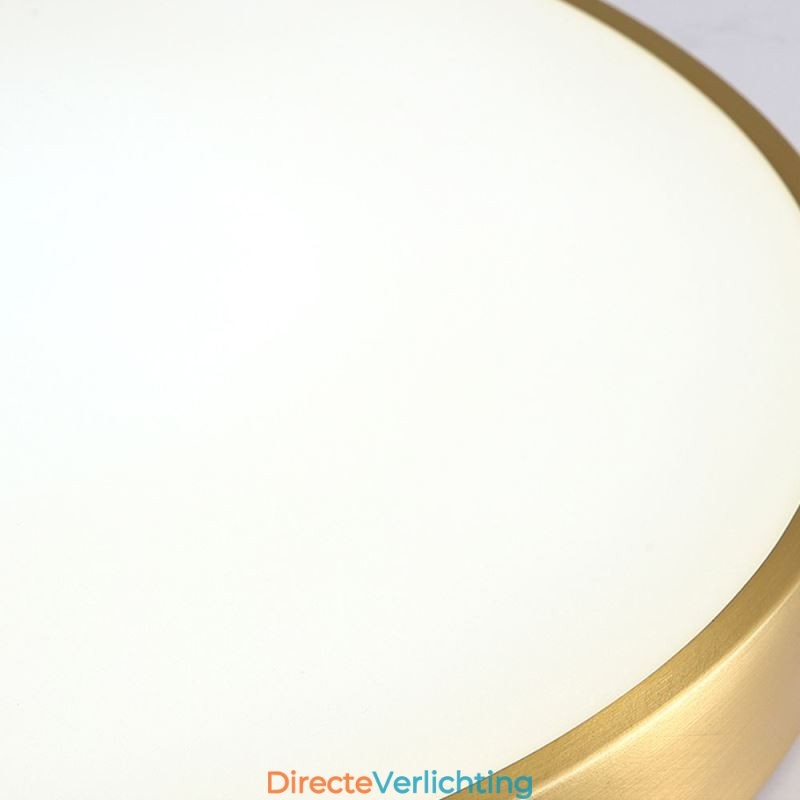 Ronde plafondlamp van modern goudkleurig acryl