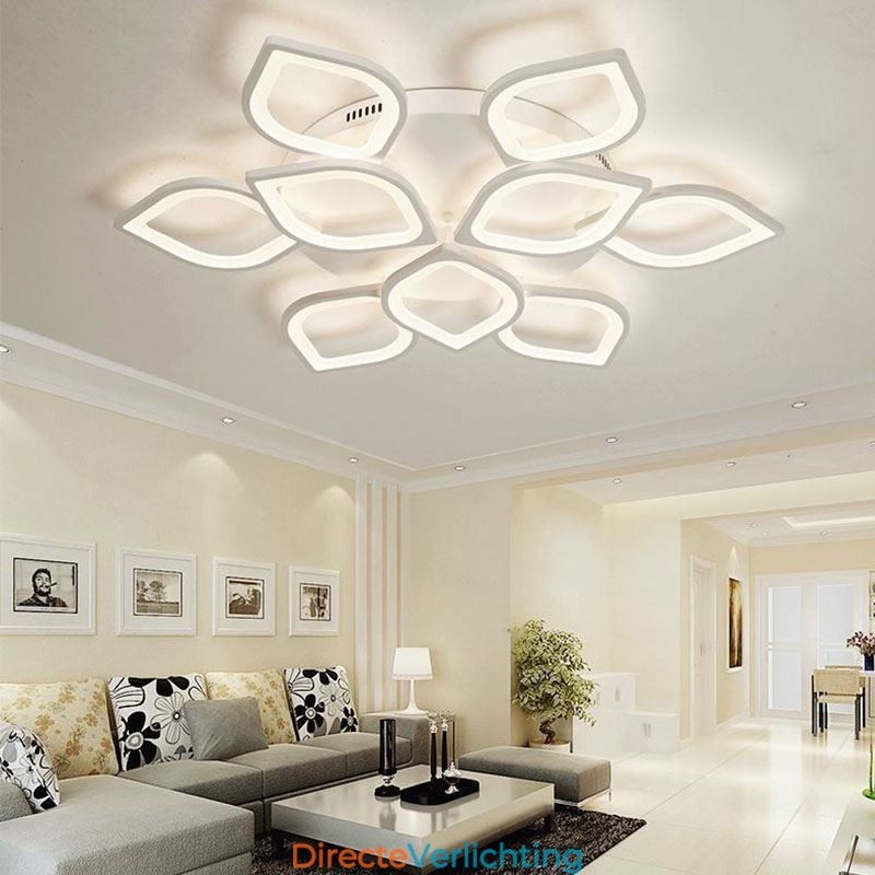 Moderne eenvoudige plafondlamp van acryl met bloemblaadjes