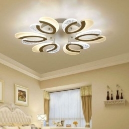 Moderne eenvoudige plafondlamp in de vorm van een hart van acryl