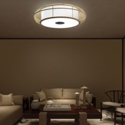 Chinese speciale bamboe plafondlamp met creatieve Japanse ronde plafondmontage