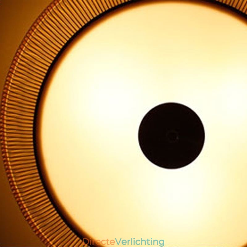 Chinese speciale bamboe plafondlamp met creatieve Japanse ronde plafondmontage